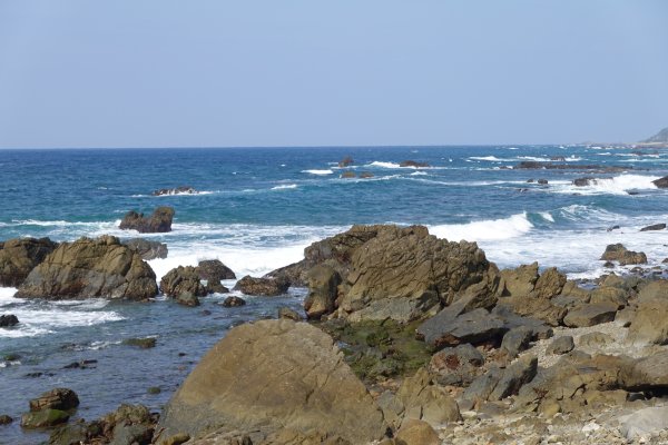 西海岸の岩