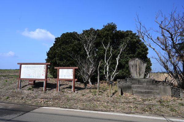 九州海軍航空隊種子島基地跡