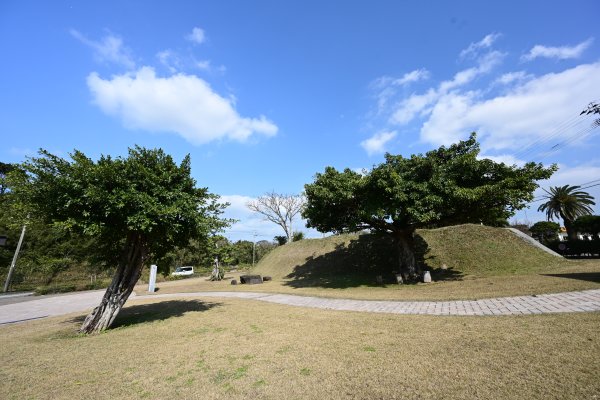 坂井公園