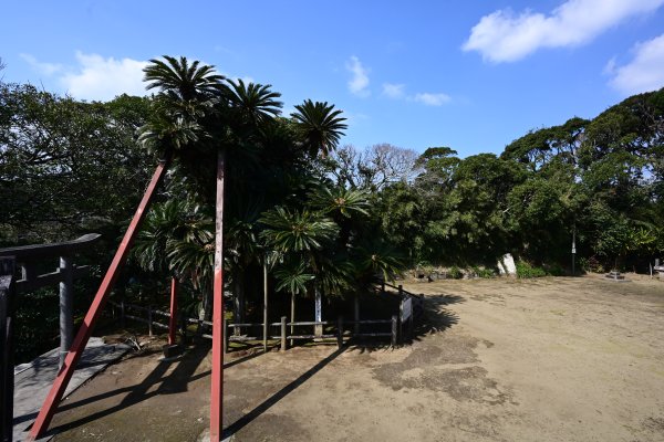 坂井神社(1)