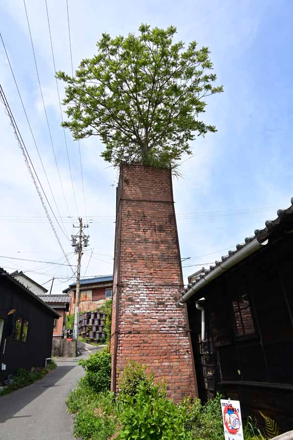 やきもの散歩道(21)