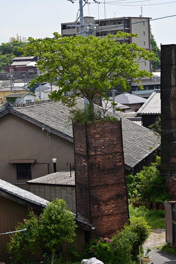 やきもの散歩道(23)