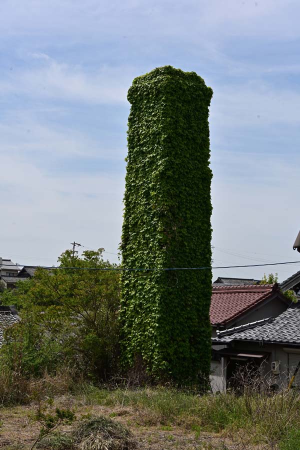 やきもの散歩道(24)