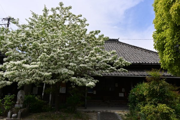 世昌山宝全寺(2)