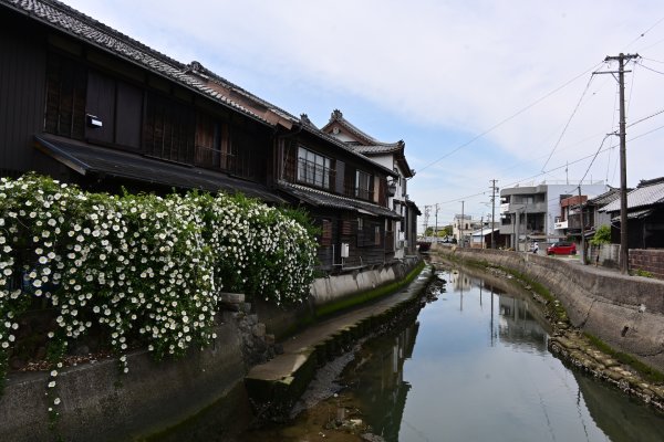 やきもの散歩道(28)