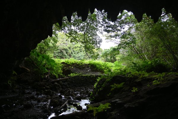 ヨヲキ洞窟遺跡(4)