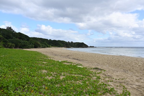 花徳浜(4)