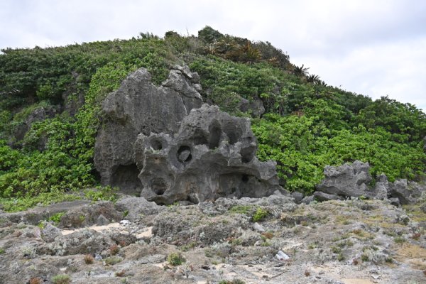 黒畦海岸(4)