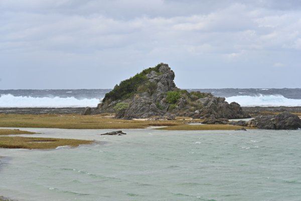 手々海浜公園：クサデン石