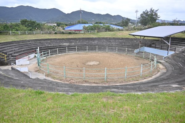 松原闘牛場(3)：全景