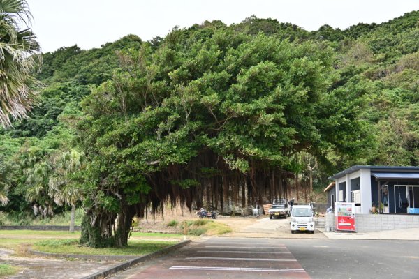 瀬田海海浜公園(1)