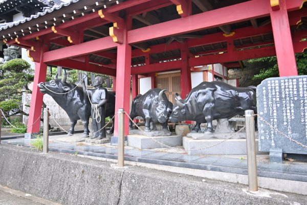 闘牛神社？(2)