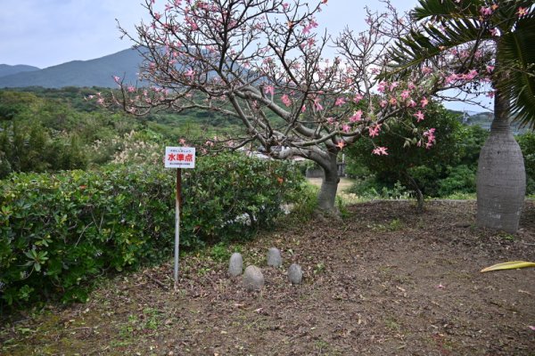 朝潮太郎記念館(3)