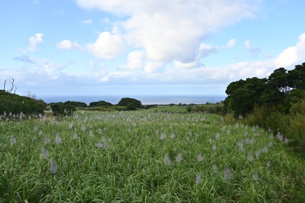 カムイヤキ陶器窯跡(2)