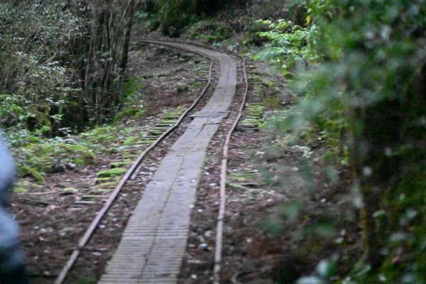安房森林軌道：歪んだ線路