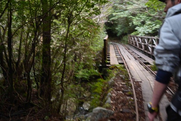 安房森林軌道：また橋を渡る