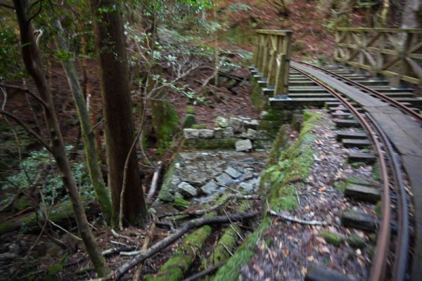 安房森林軌道：小さな橋を渡る