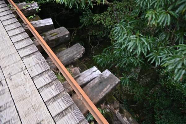 安房森林軌道：欄干の無い橋