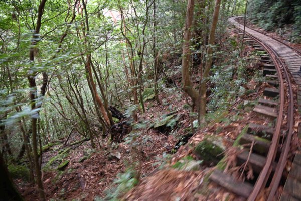 安房森林軌道：荒川登山口が近づく