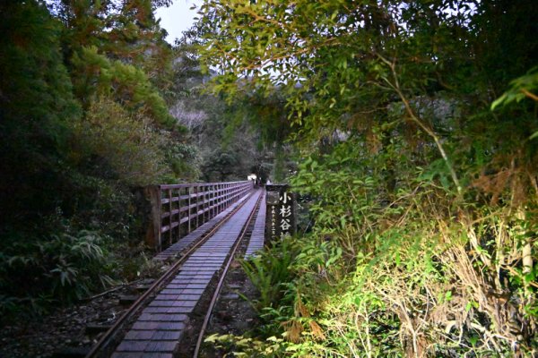 安房森林軌道：小杉谷橋