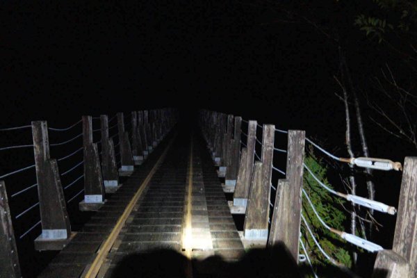 安房森林軌道：橋を渡る