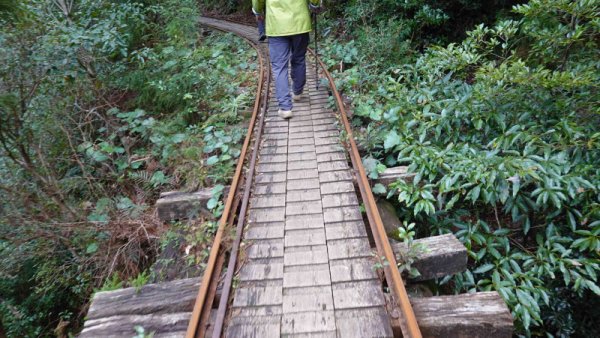 安房森林軌道：欄干の無い橋