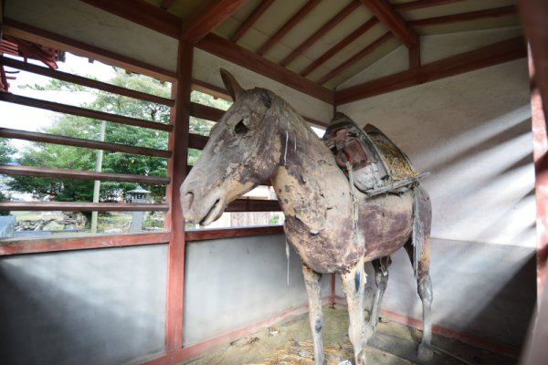 金谷神社(4)