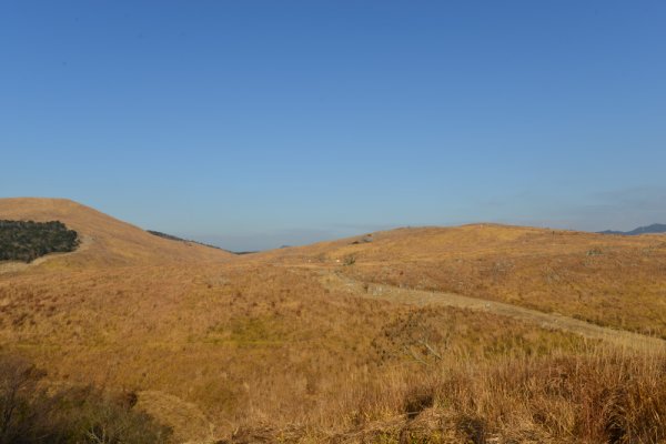 秋吉台：日本一のカルスト台地