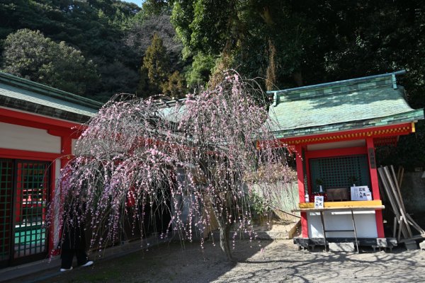 赤間神宮：天神社