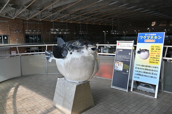 唐戸市場の２階