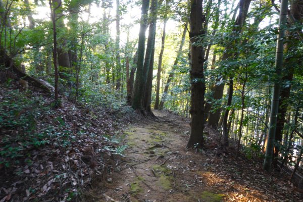 湯田温泉：白狐の小径