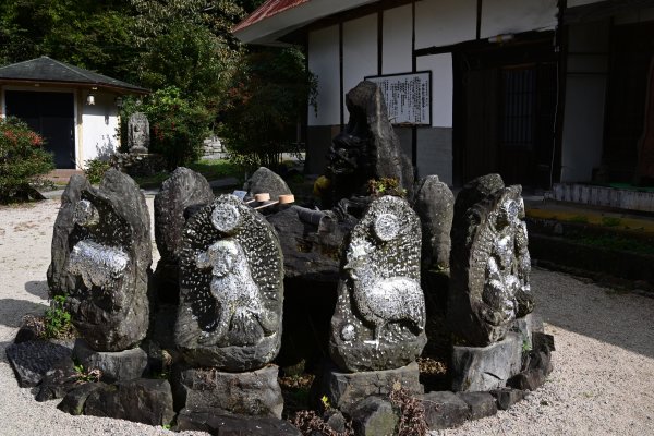 胎蔵寺