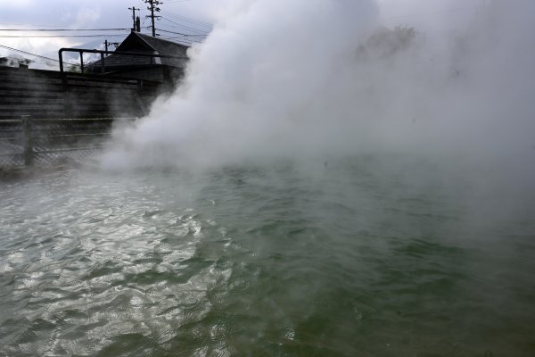 別府の温泉地獄(4)：鬼山地獄