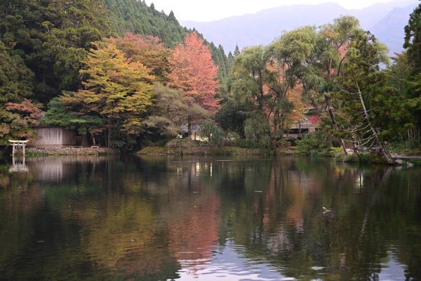 湯布院(5)：金鱗湖