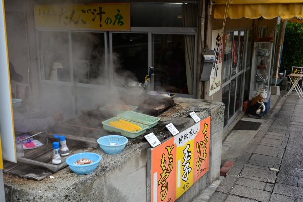 別府の温泉地獄(7)