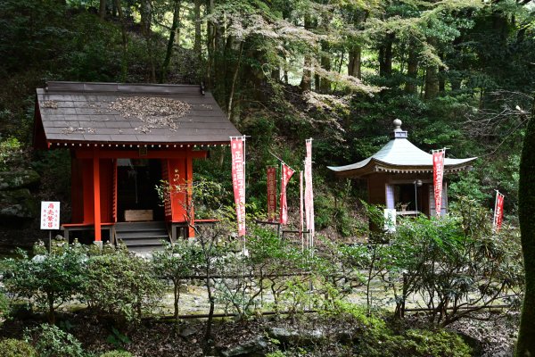 両子寺(7)