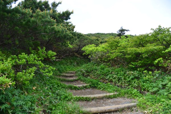 最初の山頂へ