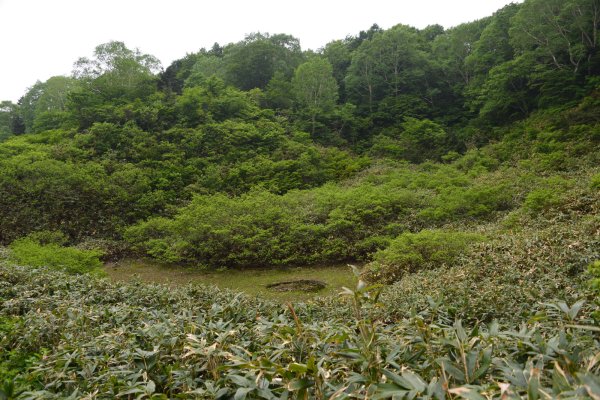 うつぼ沼